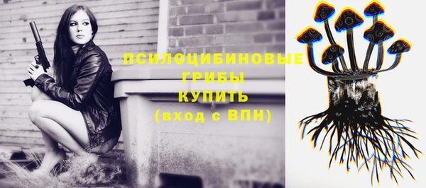 амф Струнино