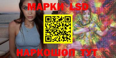 гашик Будённовск