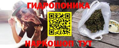 гашик Будённовск