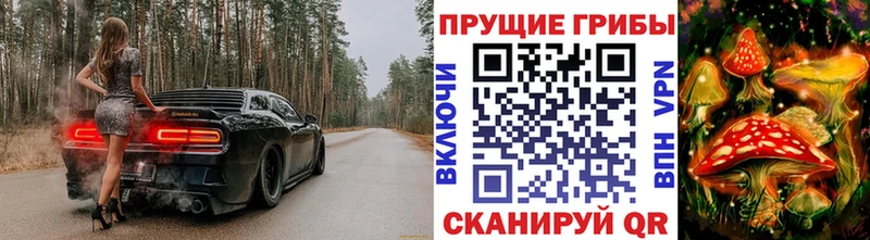 площадка как зайти  купить наркотик  Химки  Псилоцибиновые грибы мухоморы 