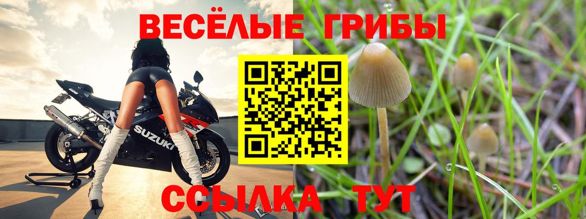 Галлюциногенные грибы мухоморы Химки