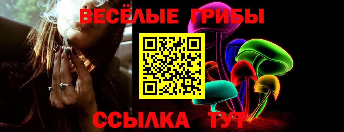 Химки  Псилоцибиновые грибы Psilocybine cubensis  Вход с VPN 